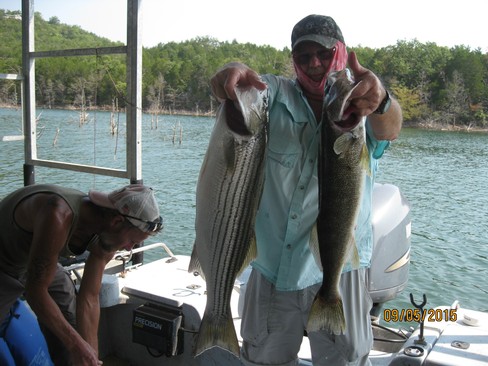 Nice Striped Bass